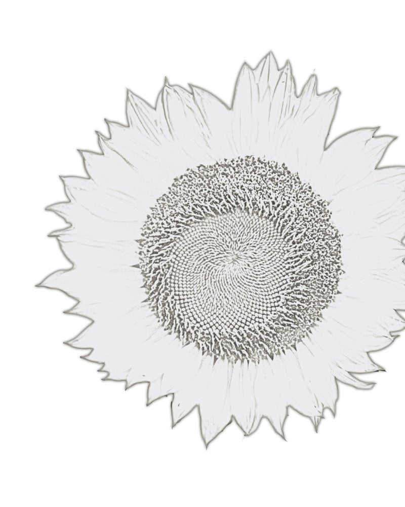 Elegant and bright collection of beaded jewelry crafted in peyote stitch technique from Japanese Miyuki beads inspired by the sunflowers - Fleur Du Jour